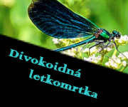 Odkaz na Luckinu stránku :)