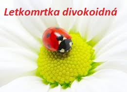 Odkaz na Zuzkinu stránku :)